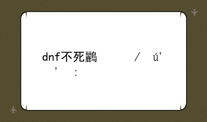 dnf不死鸟之辉光环