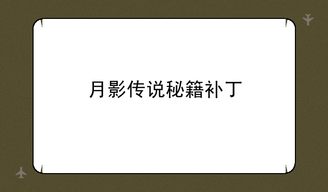 月影传说秘籍补丁