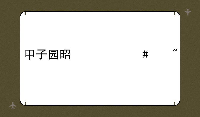 甲子园是什么级别