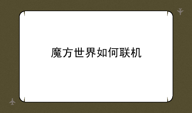 魔方世界如何联机