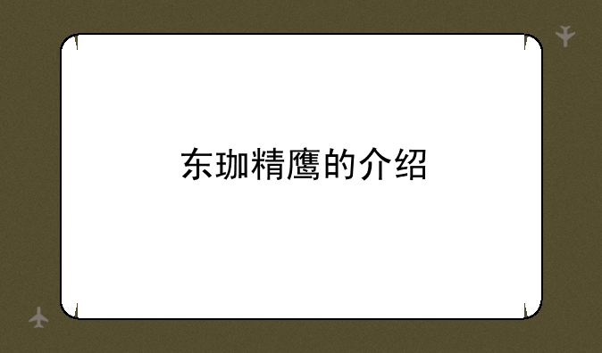 东珈精鹰的介绍
