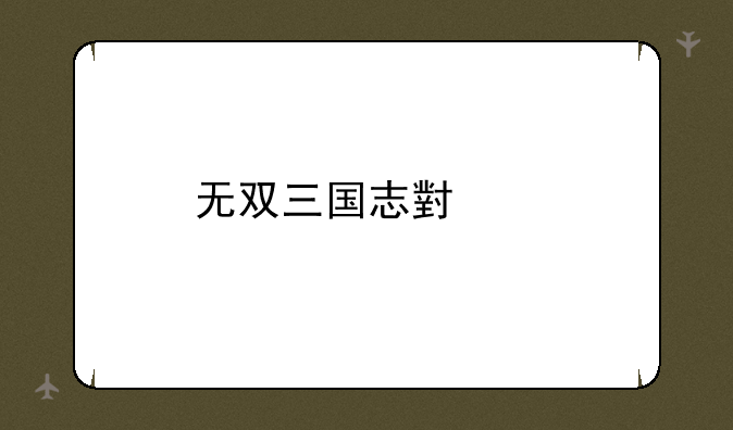 无双三国志小说
