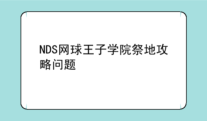 NDS网球王子学院祭地攻略问题