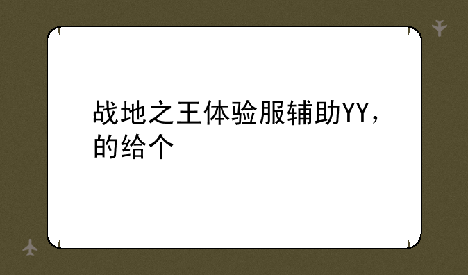 战地之王体验服辅助YY，的给个