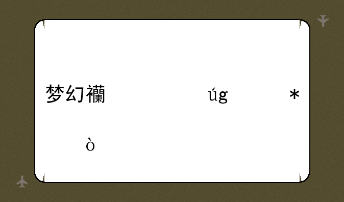 梦幻西游龙女加点？