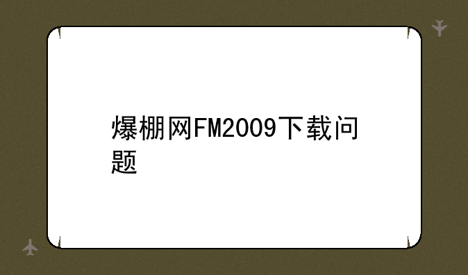 爆棚网FM2009下载问题