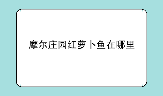 摩尔庄园红萝卜鱼在哪里