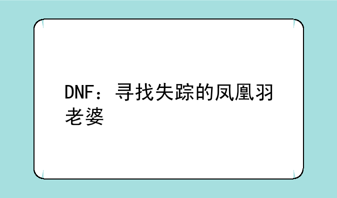 DNF：寻找失踪的凤凰羽老婆