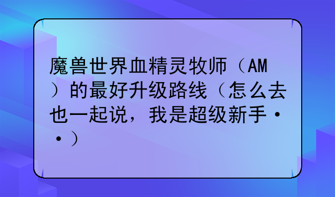 魔兽世界血精灵牧师（AM）的最好升级路线（怎么去也一起说，我是超级新手··）