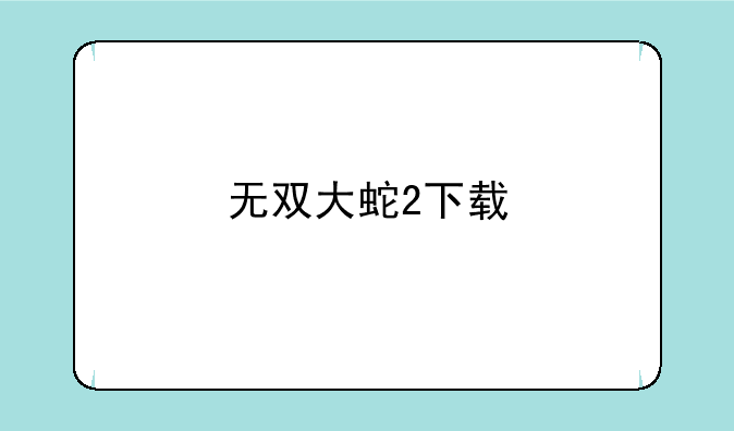 无双大蛇2下载