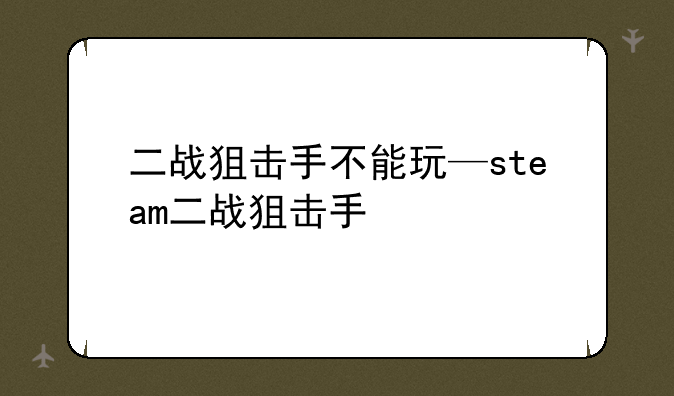 二战狙击手不能玩—steam二战狙击手